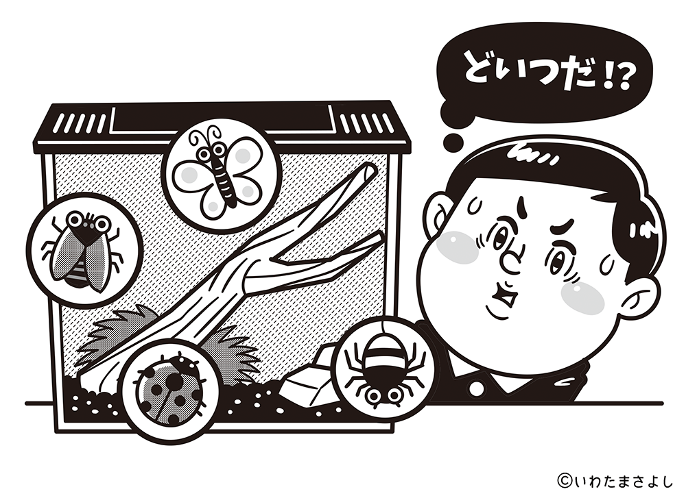 絵で見て脳トレなぞなぞ クイズ 6 いわたまさよし 絵で見て脳トレなぞなぞ クイズ 6 いわたまさよし