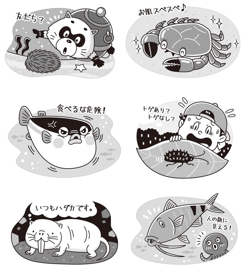 子ども向けコミカルイラスト｜児童書・学習教材｜ 「ワケがあります ヘンな名前の生き物 アロークロス」です。ツッコみたくなるようなネーミングの動物たちを、コミカルでかわいいイラストタッチにデフォルメ。